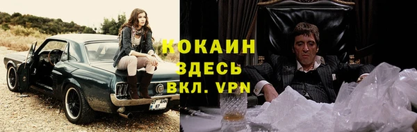 стафф Алексин