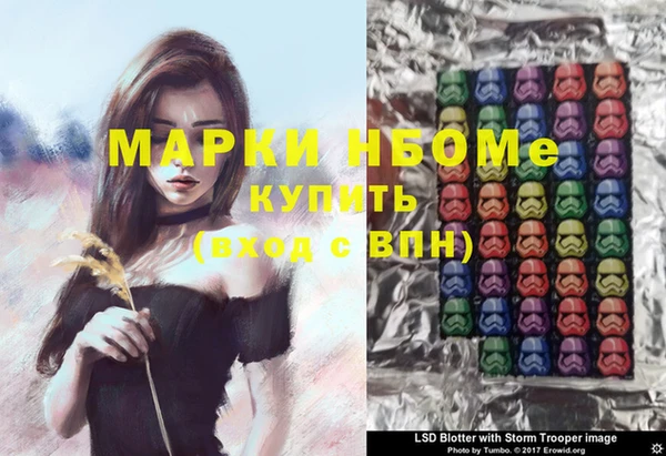 шишки Алзамай