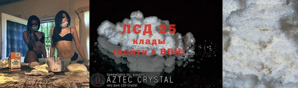 стафф Алексин