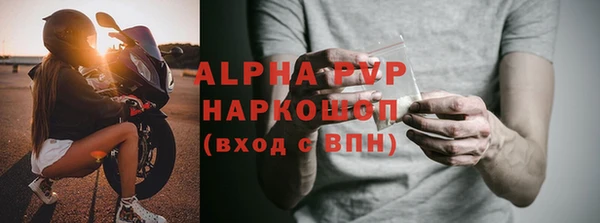 стафф Алексин