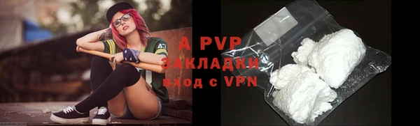 стафф Алексин