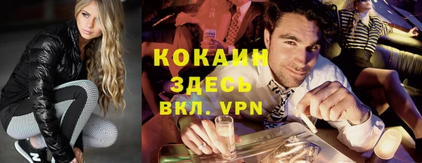 стафф Алексин