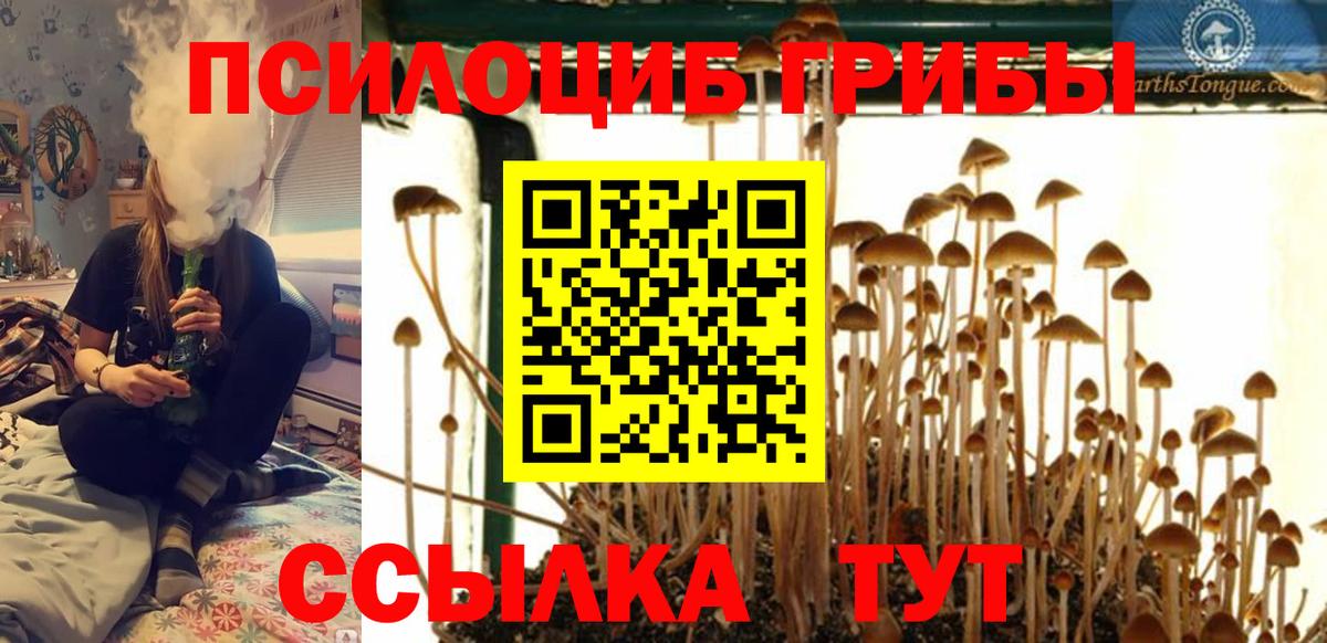 Псилоцибиновые грибы Psilocybine cubensis Егорьевск