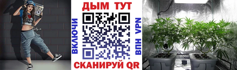 Канабис марихуана  Егорьевск 