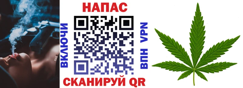 Конопля семена Егорьевск